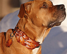 Cargue la imagen en el visor de la galería, Collar de plumas nativas
