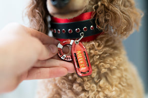 Baywatch ID tag