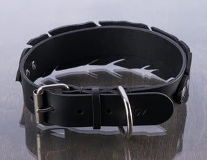 Black Feather Collar