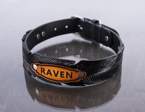 Customized Feather Collar