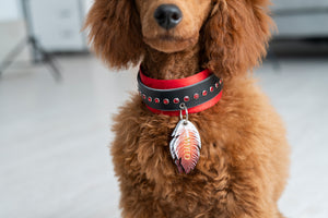 Eagle Feather ID Tag