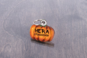 Pumpkin ID Tag