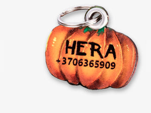 Pumpkin ID Tag