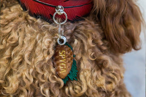 Pine Cone ID Tag