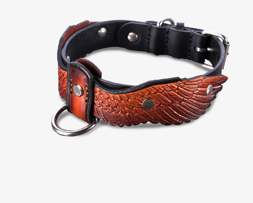 Collar de águila occidental